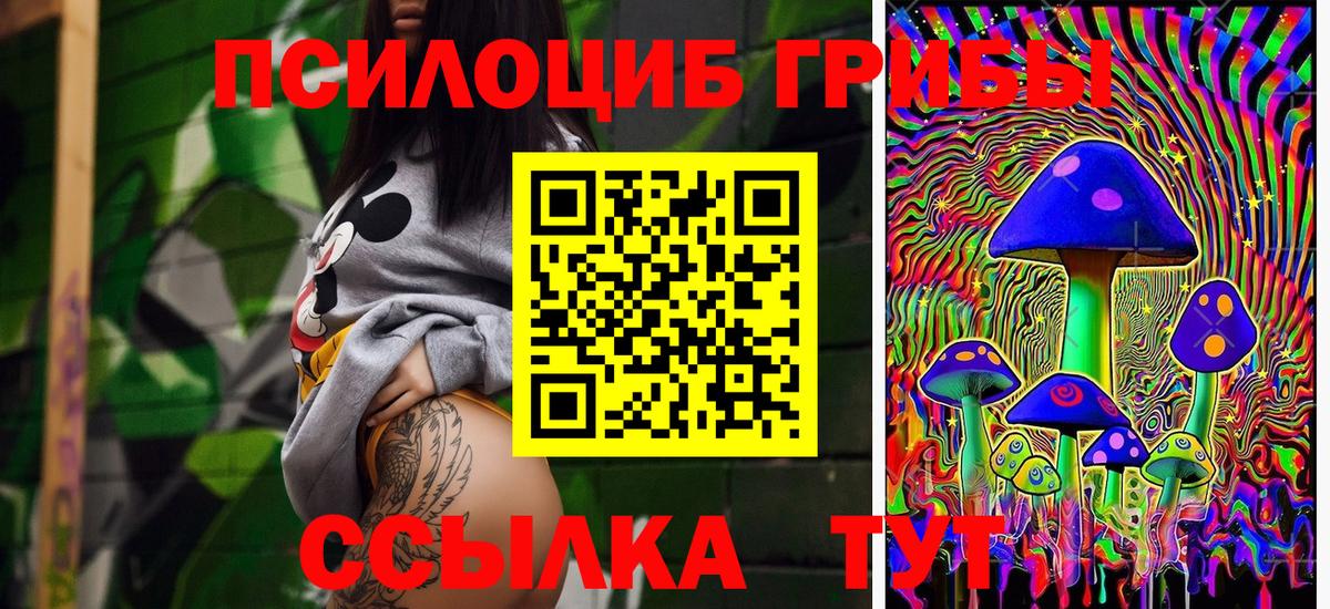 Галлюциногенные грибы Magic Shrooms Братск