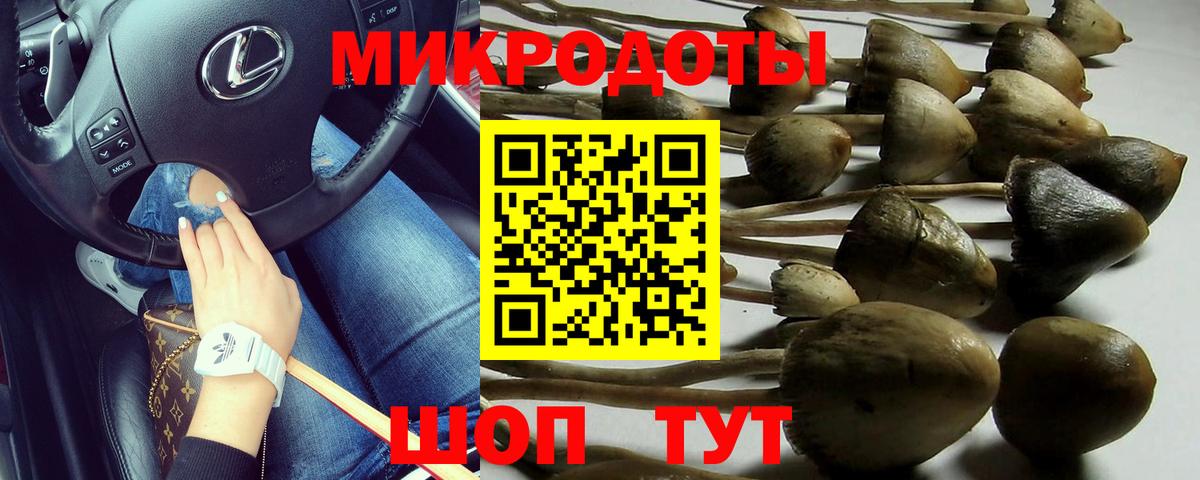 Братск  Псилоцибиновые грибы мицелий  Вход с VPN  Галлюциногенные грибы Cubensis 